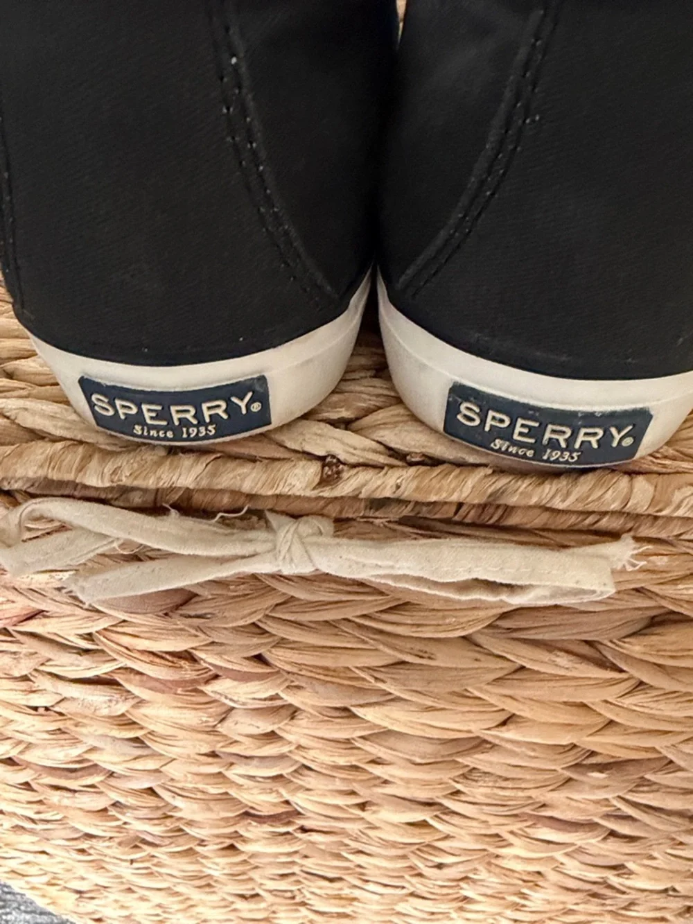 Sperry Black Canvas No tie Sneakers with Brown leather Laces - Picture 5 of 6